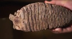 VIDEO Dječak iz SAD-a u rijeci pronašao ogroman zub mamuta star 10.000 godina